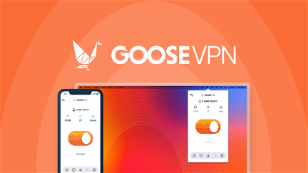 GOOSE VPN