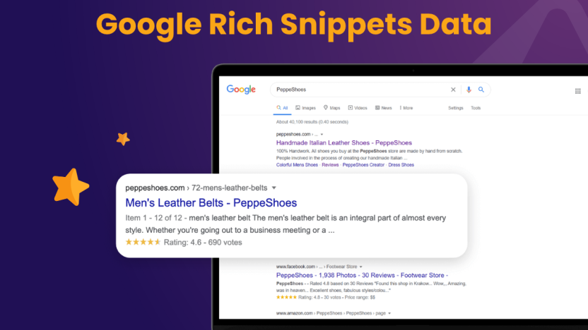 Google Rich Snippets Data